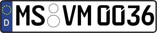 MS-VM0036