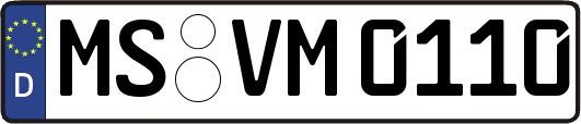 MS-VM0110
