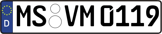 MS-VM0119