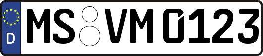 MS-VM0123
