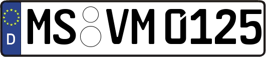 MS-VM0125