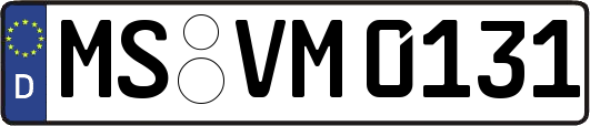 MS-VM0131