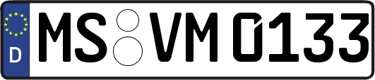 MS-VM0133
