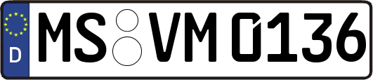 MS-VM0136