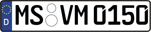MS-VM0150