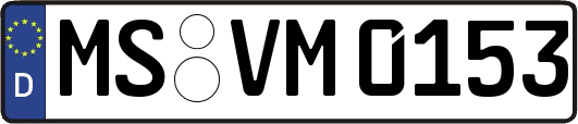 MS-VM0153