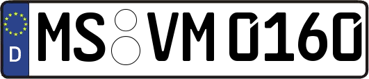 MS-VM0160