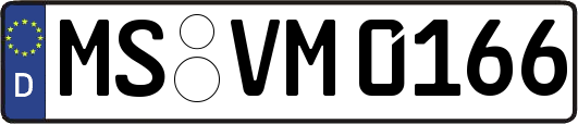 MS-VM0166