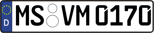 MS-VM0170