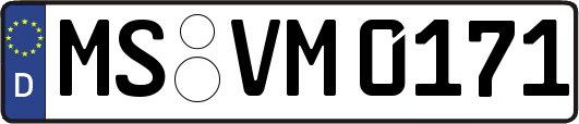 MS-VM0171