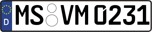 MS-VM0231