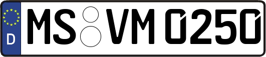 MS-VM0250