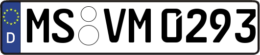 MS-VM0293