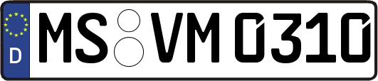 MS-VM0310