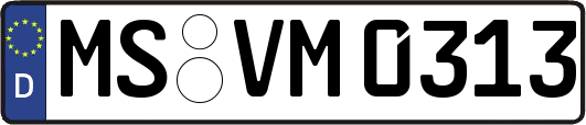 MS-VM0313