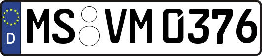 MS-VM0376
