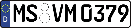 MS-VM0379
