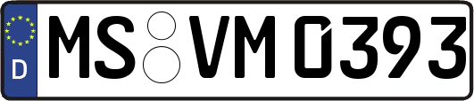 MS-VM0393