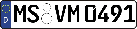 MS-VM0491