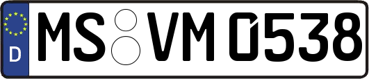 MS-VM0538