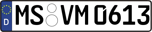MS-VM0613