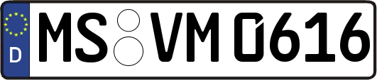MS-VM0616