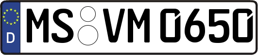 MS-VM0650