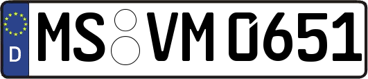 MS-VM0651