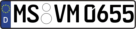 MS-VM0655