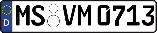 MS-VM0713