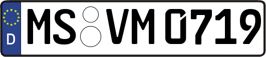 MS-VM0719