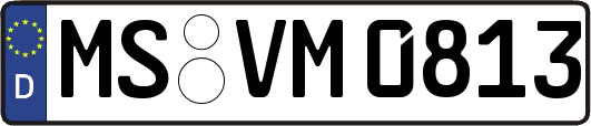 MS-VM0813