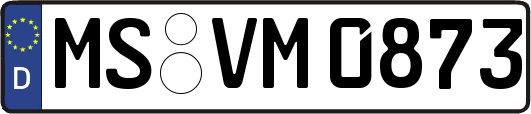 MS-VM0873