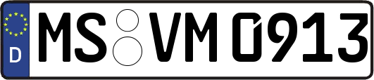 MS-VM0913