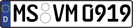 MS-VM0919