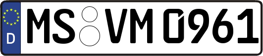 MS-VM0961
