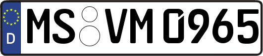 MS-VM0965