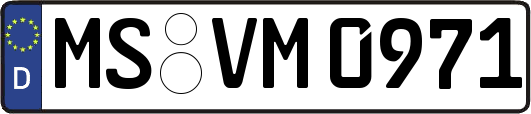 MS-VM0971
