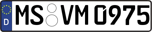 MS-VM0975