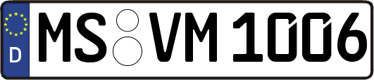 MS-VM1006