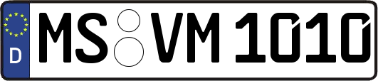 MS-VM1010