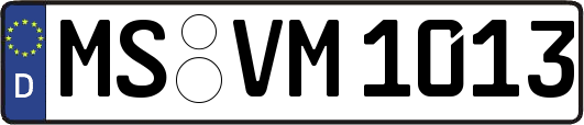 MS-VM1013