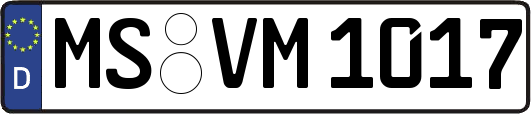 MS-VM1017