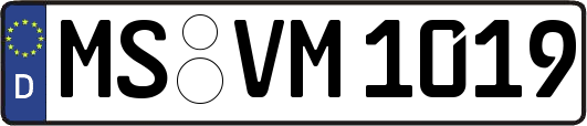 MS-VM1019