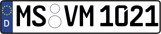MS-VM1021