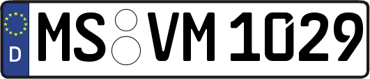 MS-VM1029