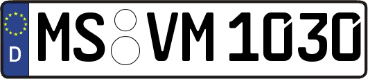 MS-VM1030