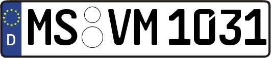 MS-VM1031