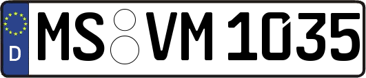 MS-VM1035