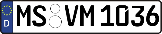 MS-VM1036